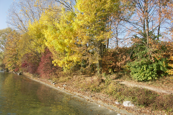 Things To Do Geneva Lake Shore Path